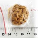 14*nhCh􃊃t҂݃{[̃Xgbv@2