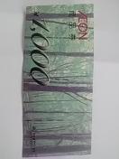 �C�I��1000�~���V�i