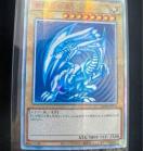 �y��/���i�z�V�Y�� ��̔��� 20th�V�[�N���b�g 2018-JPP01 �u���[�A�C�Y�E�z���C�g�E�h���S�� �y���g�p�z