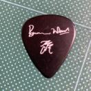 80N THE ROLLING STONES / EEbhmodel M^[sbN  ESP [OEXg[Y