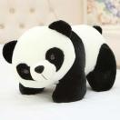 ʂ p_ pp_ 70cm   NbV   Aj}