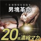 LOp[ Tvg 20{Zk}J+100{ZkgJbgAz 3  ۂ AMj Vg