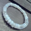 �u���[���[�X�u���X���b�g�@�V�R�΁@�p���[�X�g�[��