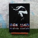 ViyuLŔzThe Who^UEt[@Isle of Wight@2004N