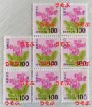 ���������@100�~�؎�~8���@800�~���@�|�C���g����