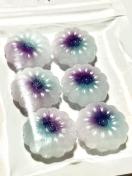 �I���W�i���V�[�����O���b�N�X�@�n���h���C�h�@6�� �L�����f�B��