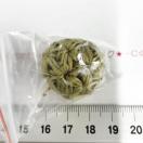 8*nhCh􃊃t҂݃{[`[@11