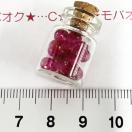 8*KX̏r@NbNKXr[YWڒȂ@22