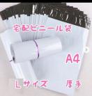 ��z�r�j�[���� A4�iL�T�C�Y�j100��