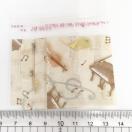 �����䎆�����OPP�܁@4���@74