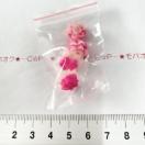 30*�t�F�O���f���ԁ@�v���r�[�Y�@16