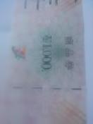 �Z�u��1000�~���i��