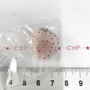 3*�K���X�y���_���g�`���[���@27