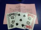 バックトランスポ!岸本道明考案!手品