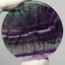 suNo.547tVR΃t[Cg@v[g