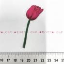 �`���[���b�v�̃R���[�W���V�[���@341