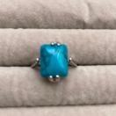 �V�R�Ύw�ց@�����O�@11��