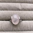 �V�R�Ύw�ց@�����O�@12��