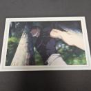 Vi p ʁEʐ ʎ(OPEED) |XgJ[h r X Pi