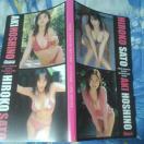 �����O�`�����s�I���S�v���e���J�z���_�[