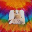 ETM񂪉( *L)~[tԂƂ莆gїp