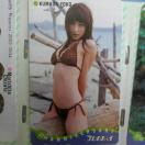 WPB�F�c�j�q�e���J