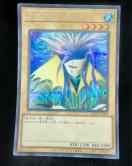 �V�Y�� �A�N�A�E�}�h�[�� QCLP-JP002 �N�H�[�^�[�Z���`�����[�V�[�N���b�g 25th �� ���i