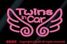 Twins in CarVg̉HXebJ[oq(etsN
