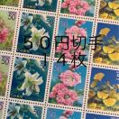 85146LO؎700~(50~؎)