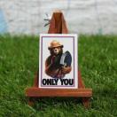 Viy}OlbgzSmokey Bear^X[L[xA@Only You