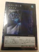 VY [ɐގ RC03-JP024 RN^[YA