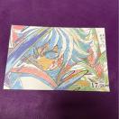 �S�ł̐n�|�X�g�J�[�h�y���`�E