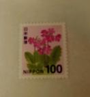 100�~�؎�@1��