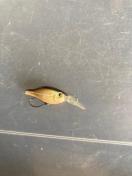 �}�C�N���N�����N