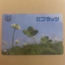 �N�I�J�[�h�@1000�~