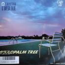 ���R���M���I���K�g���C�u�@�V���O�����R�[�h�@�K���X��PALM  TREE