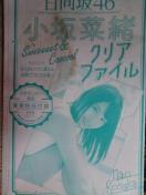 小坂菜緒 クリアファイル 非売品