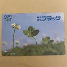 �N�I�J�[�h�@1000�~