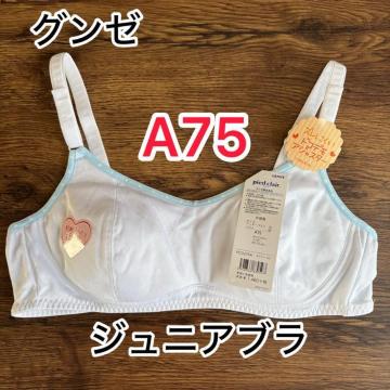 �V�i�^�O�t���@A75 �O���[�@�W���j�A�u�� �z���C�g�i���j���R�����@stage2 �����@���q���������@�K�[���Y�n�[�t�g�b�v