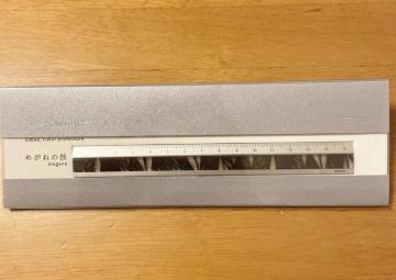 MIDORI �W���p�����[�N�X �j�z���m�V�S�g �V���[�Y ��K �߂��˂̋Z