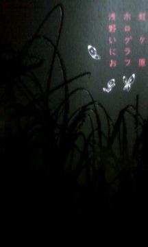 삢ɂuzOv