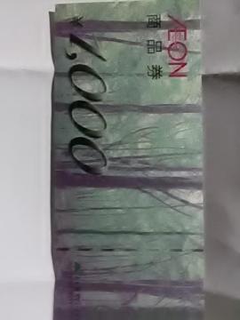 CI1000~iVi