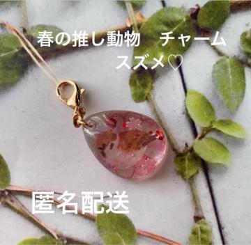 t̐`[@XY@z@