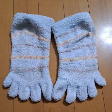 5本指ルームソックス