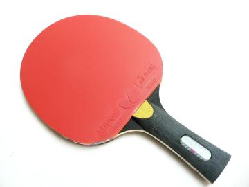 BUTTERFLY STAYER1500 VF[Nnh 싅PbgEVi