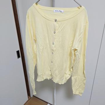 HEALTHY KAREN �J�[�f�B�K�� �N���[���C�G���[�@480