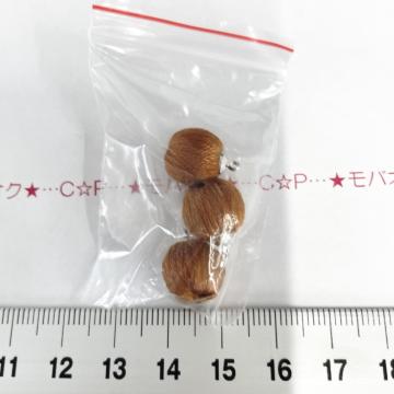 3*����Ҳ��*���������с@8