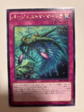 �V�Y���y㩁E�o�[�W�F�X�g�}�}�[�����z