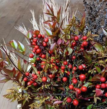 �V�R��V�̎���Q�O�O���{���S���S�����z���ł��_(^o^)�^