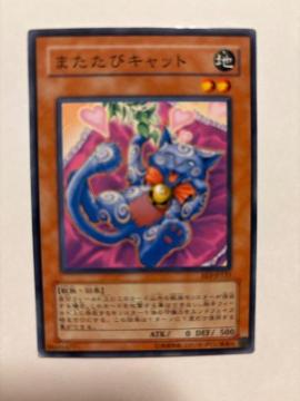 �V�Y���y�n�E�܂����уL���b�g�z